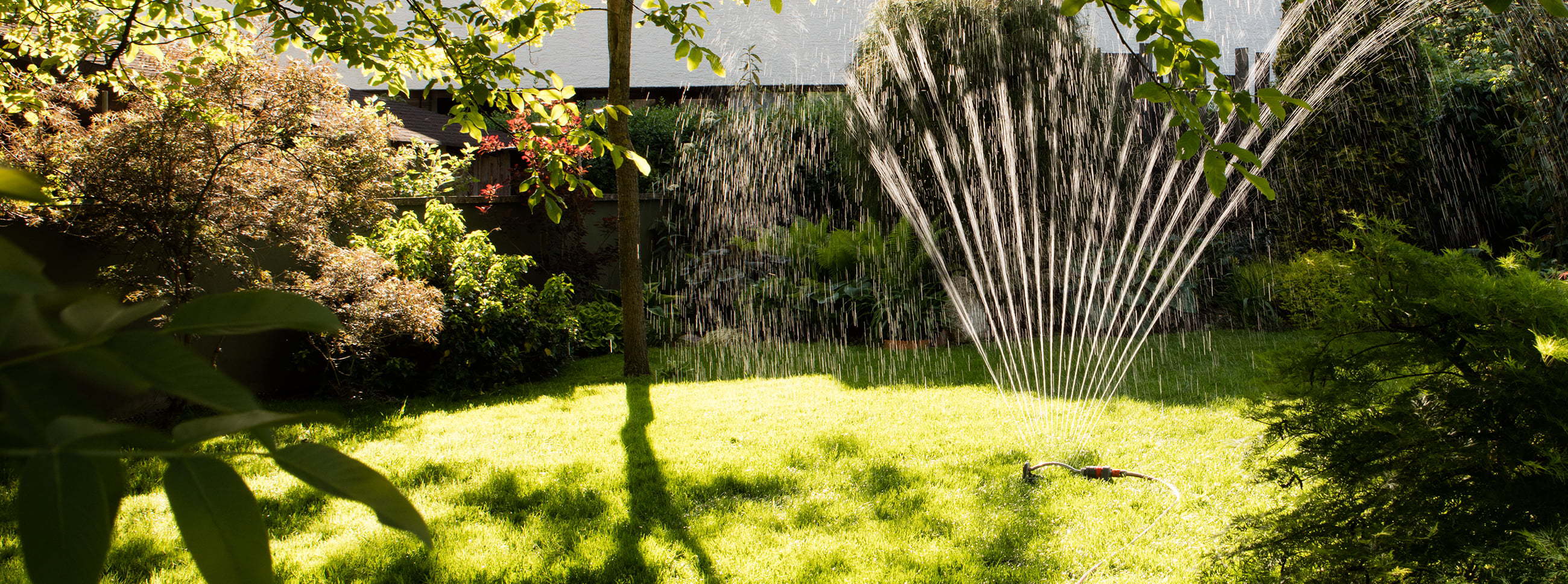 Eve Aqua Shortcuts – Garden image with sprinkler